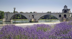 Pont d'Avignon