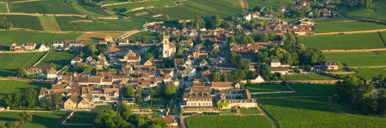 Vignoble de la Cote de Beaune, vue sur le village de Pommard.