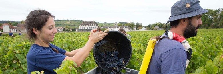 © Gérard Uféras Chateau de Pommard 09_2016