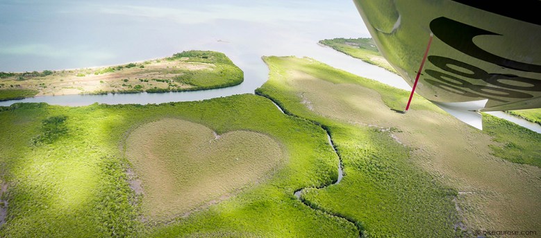 Coeur-de-Voh © oiseauroseBlog.jpg