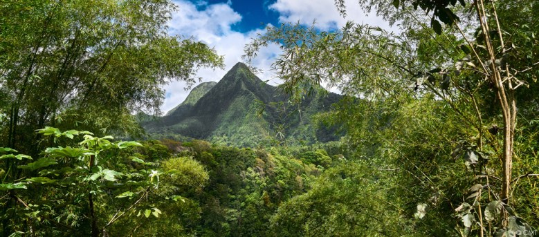 Montagne Pelée_Martinique © CMTBlog.jpg