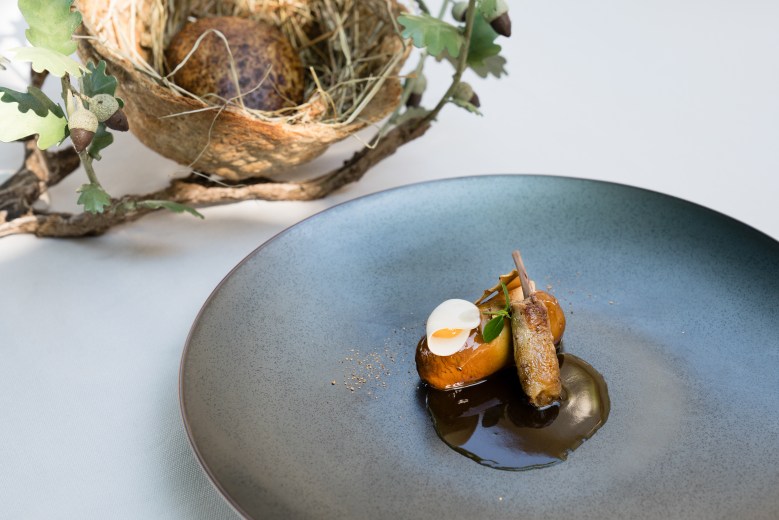 PIGEONNEAU DES COSTIÈRES - @DavidAUDEMA